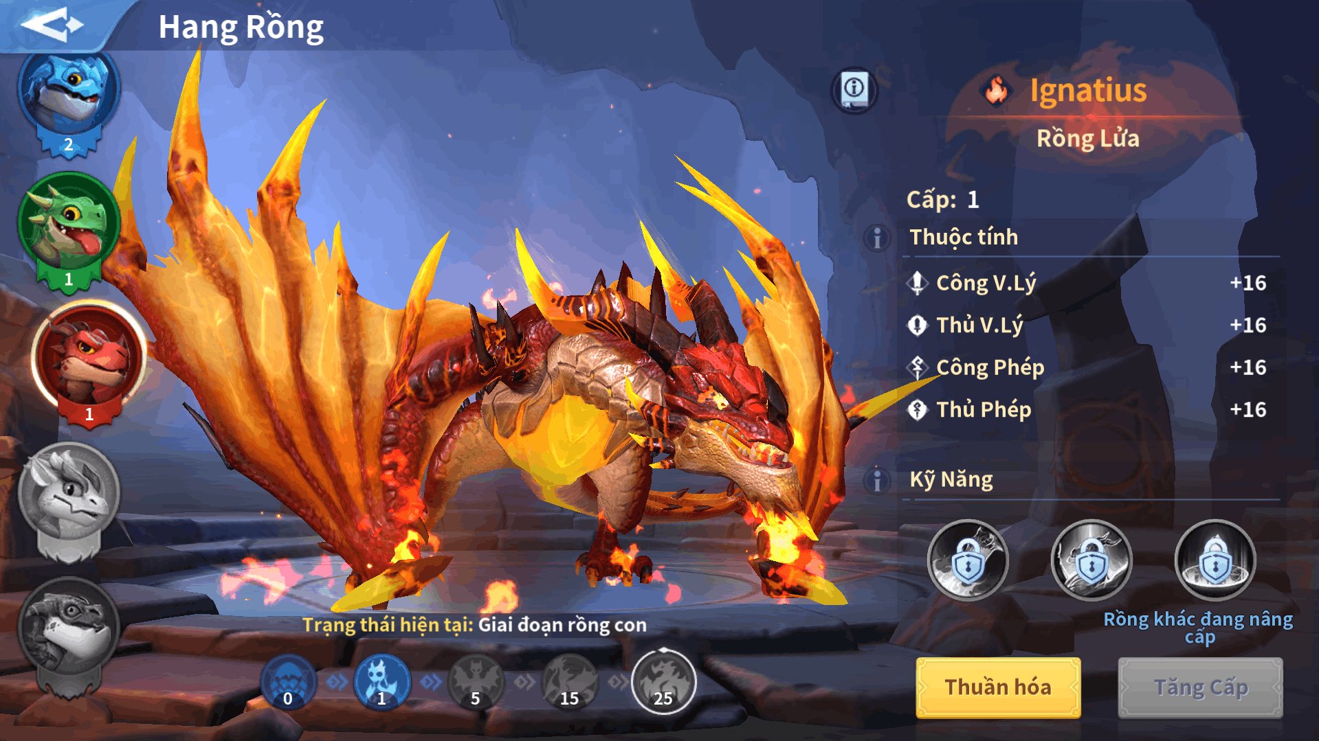 GIỚI THIỆU VỀ RỒNG